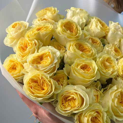 Букет из 29 роз "BUTTERCUP" 