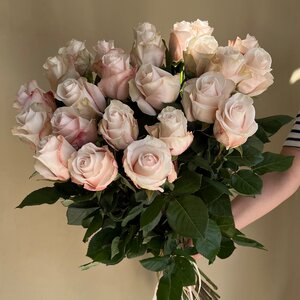 Букет из 25 импортной розы "Pomarosa" 