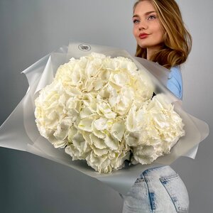 Букет из 5 гортензий  