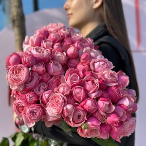 Кустовая роза 50 см  
