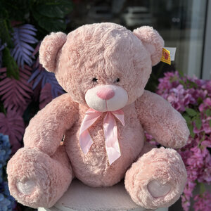 Медведь 