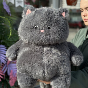 Кот "Пузан " 