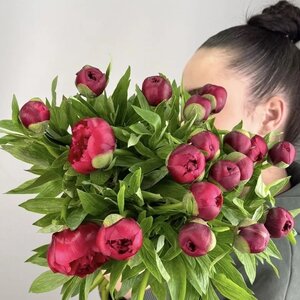 Пион 