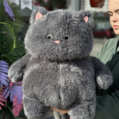 Кот "Пузан " 